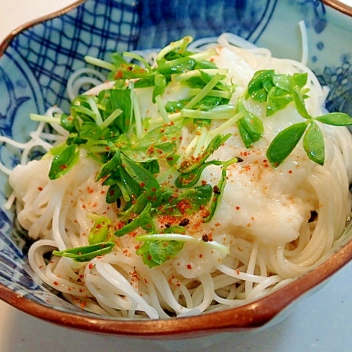 とろろと豆苗のピリ辛ぶっかけ素麺